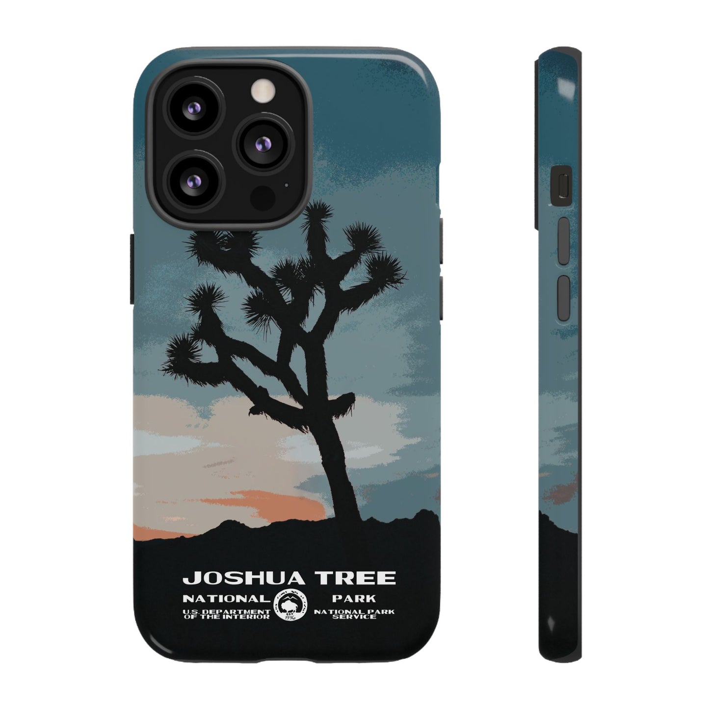 Joshua Tree National Park Phone Case
