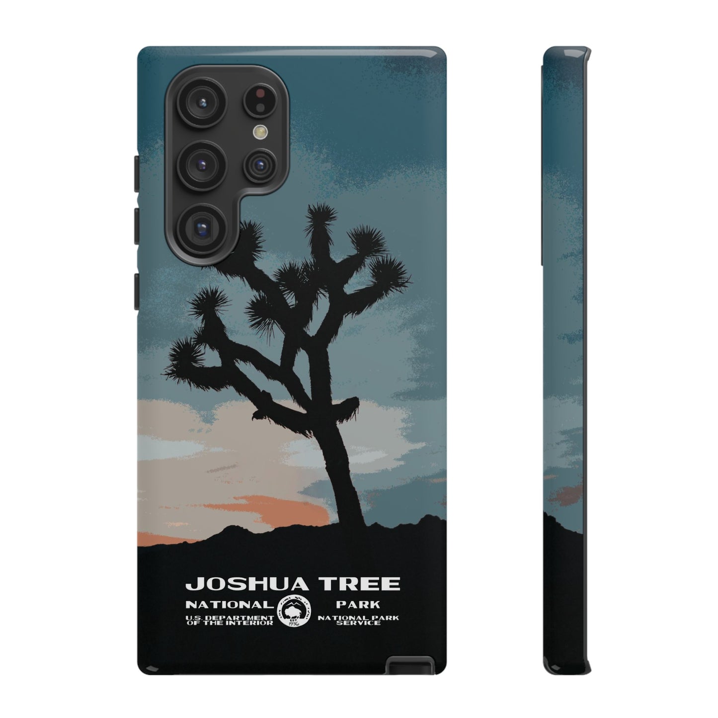 Joshua Tree National Park Phone Case