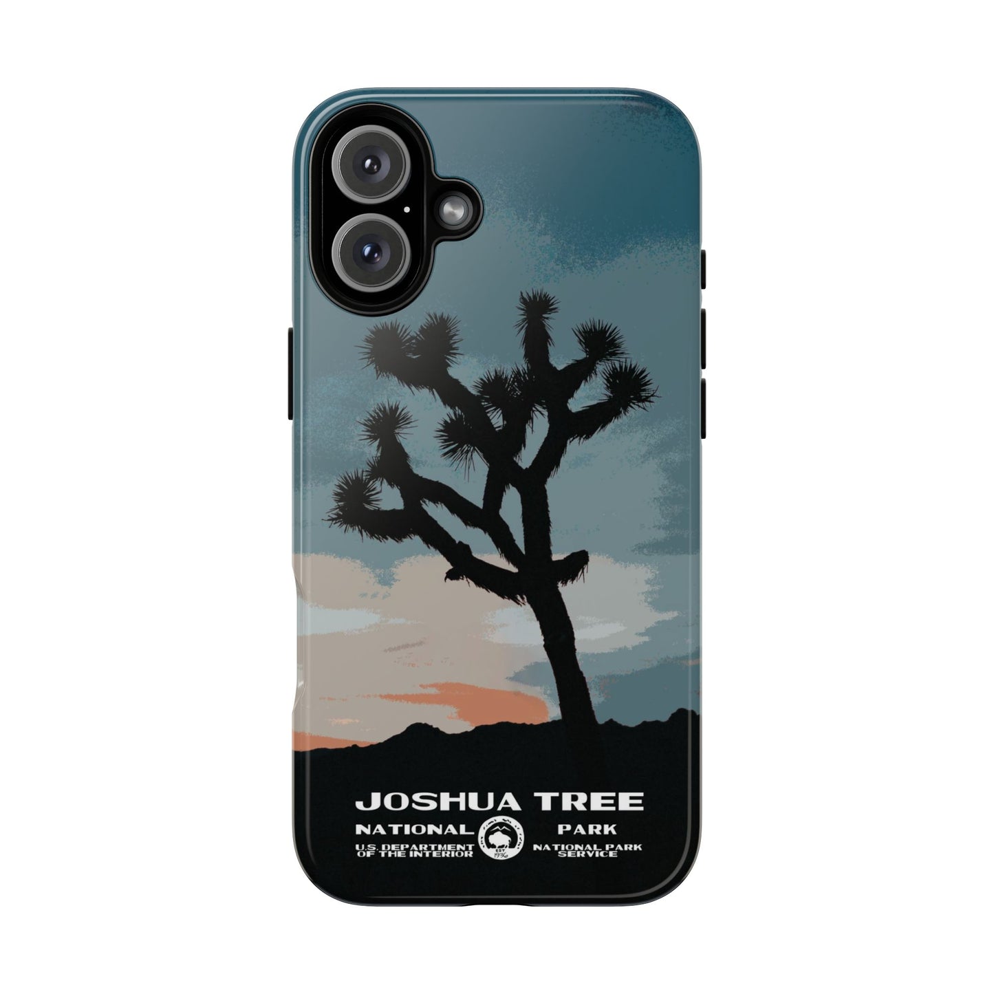 Joshua Tree National Park Phone Case