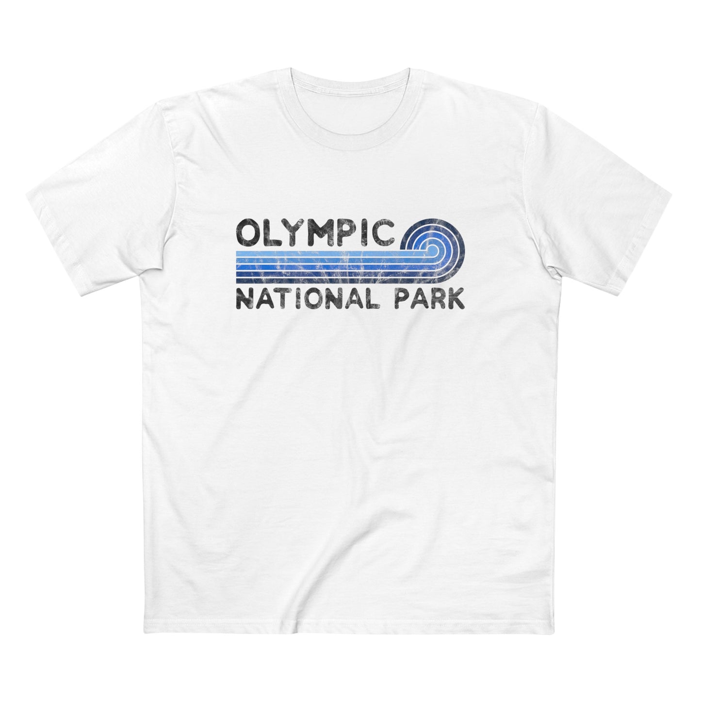 Olympic National Park T-Shirt - Blue Vintage Stretched Sunrise