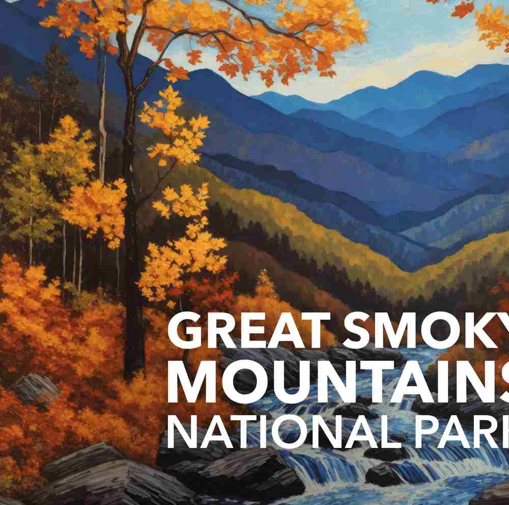 Great Smoky Mountains National Park Poster - Starry Night