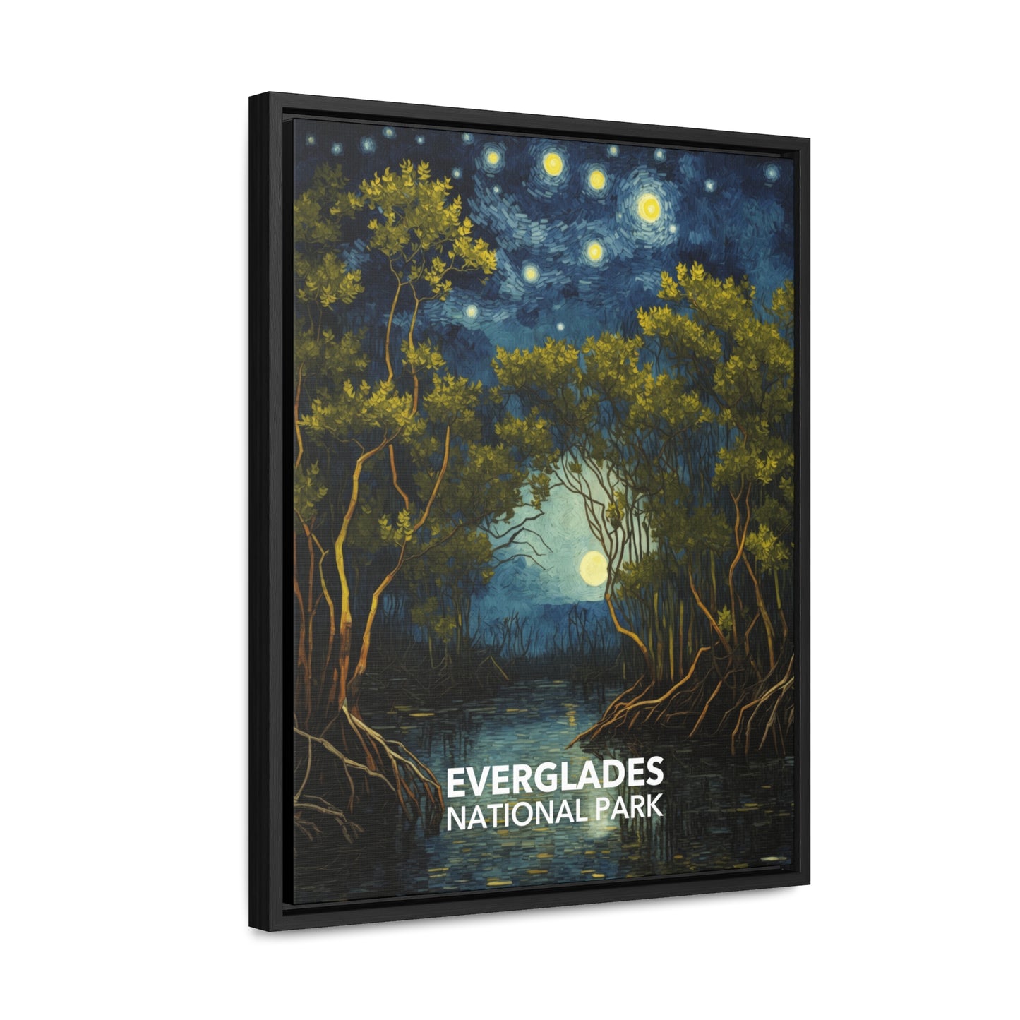 Everglades National Park Framed Canvas - The Starry Night