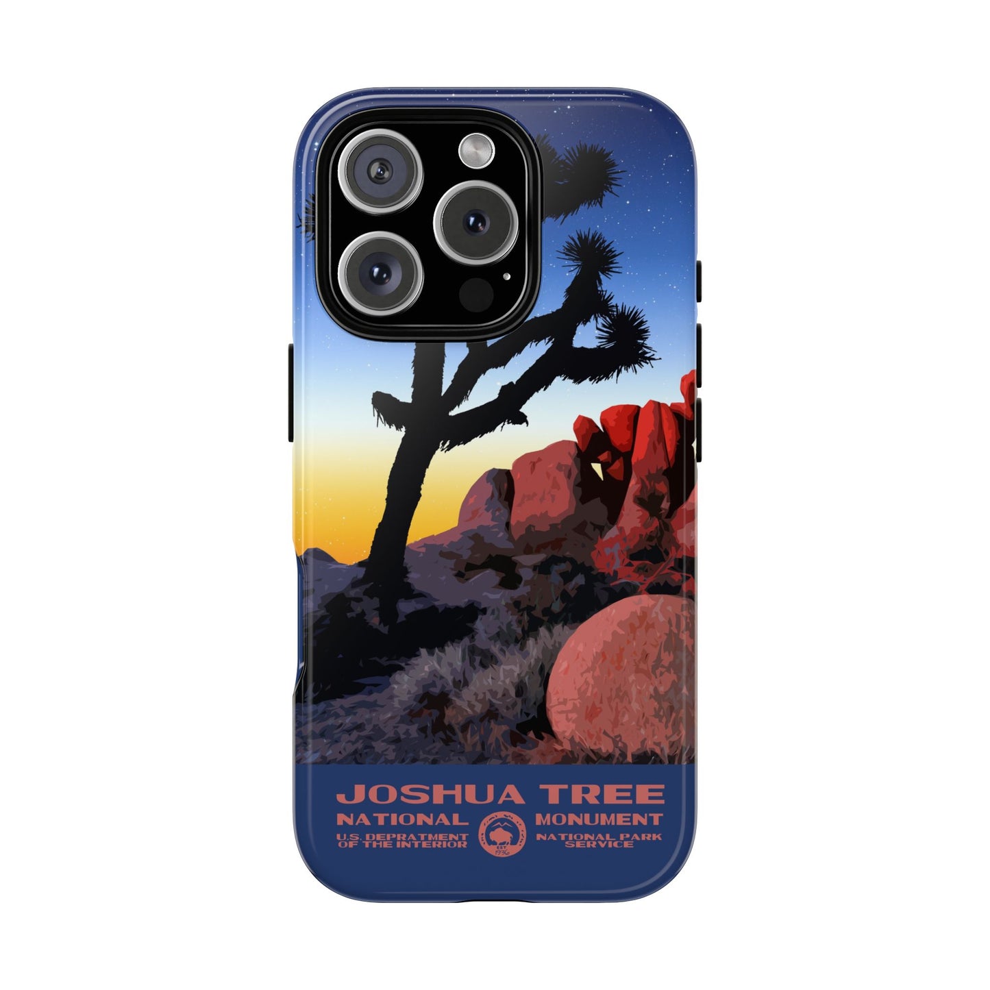 Joshua Tree National Park iPhone Case - Night