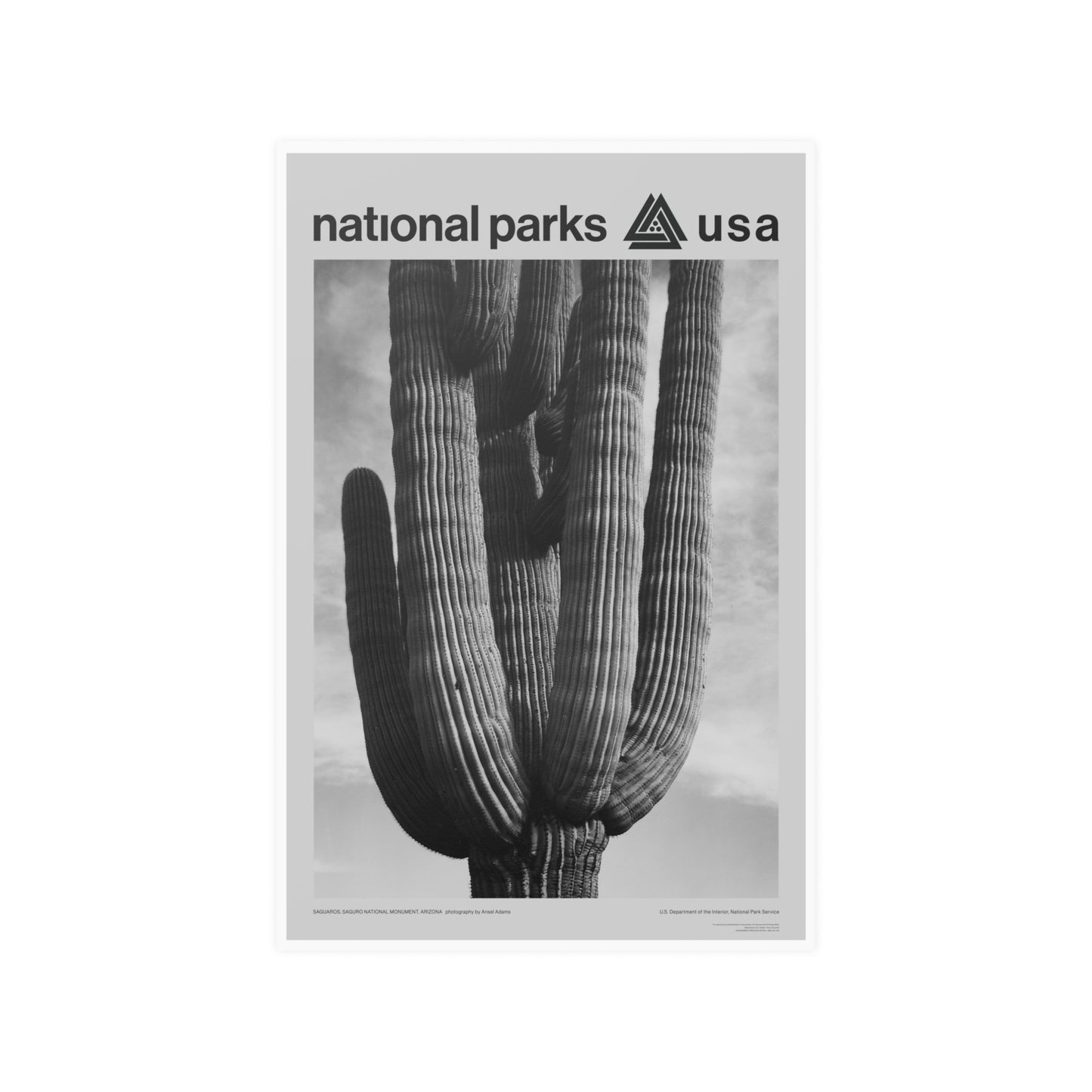 Saguaro National Park Poster - Ansel Adams