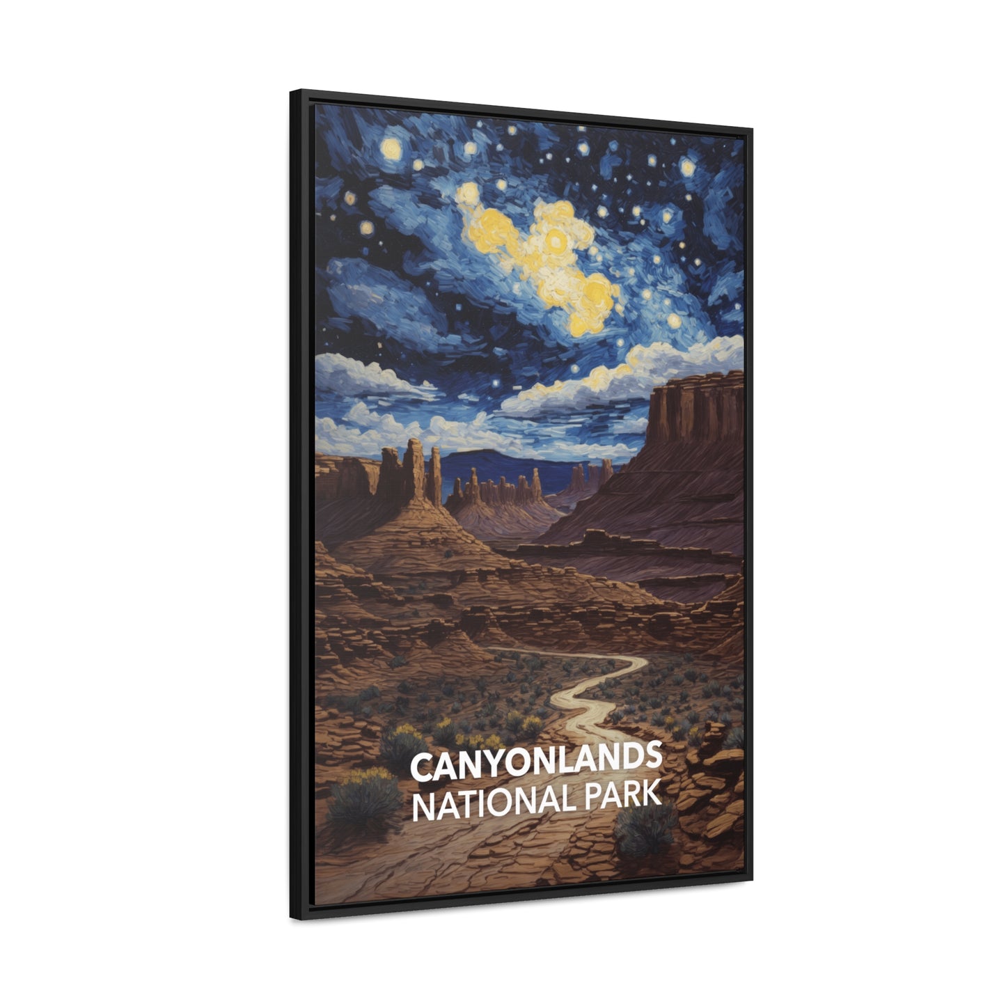 Canyonlands National Park Framed Canvas - The Starry Night