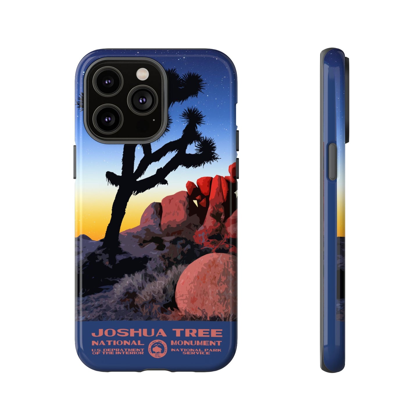 Joshua Tree National Park iPhone Case - Night