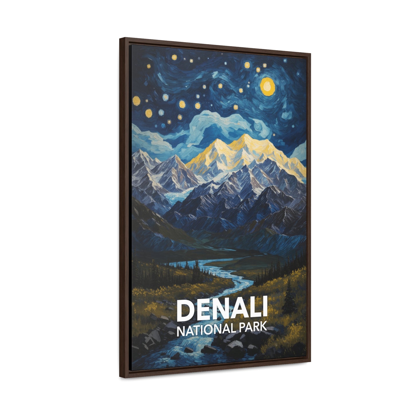 Denali National Park Framed Canvas - The Starry Night