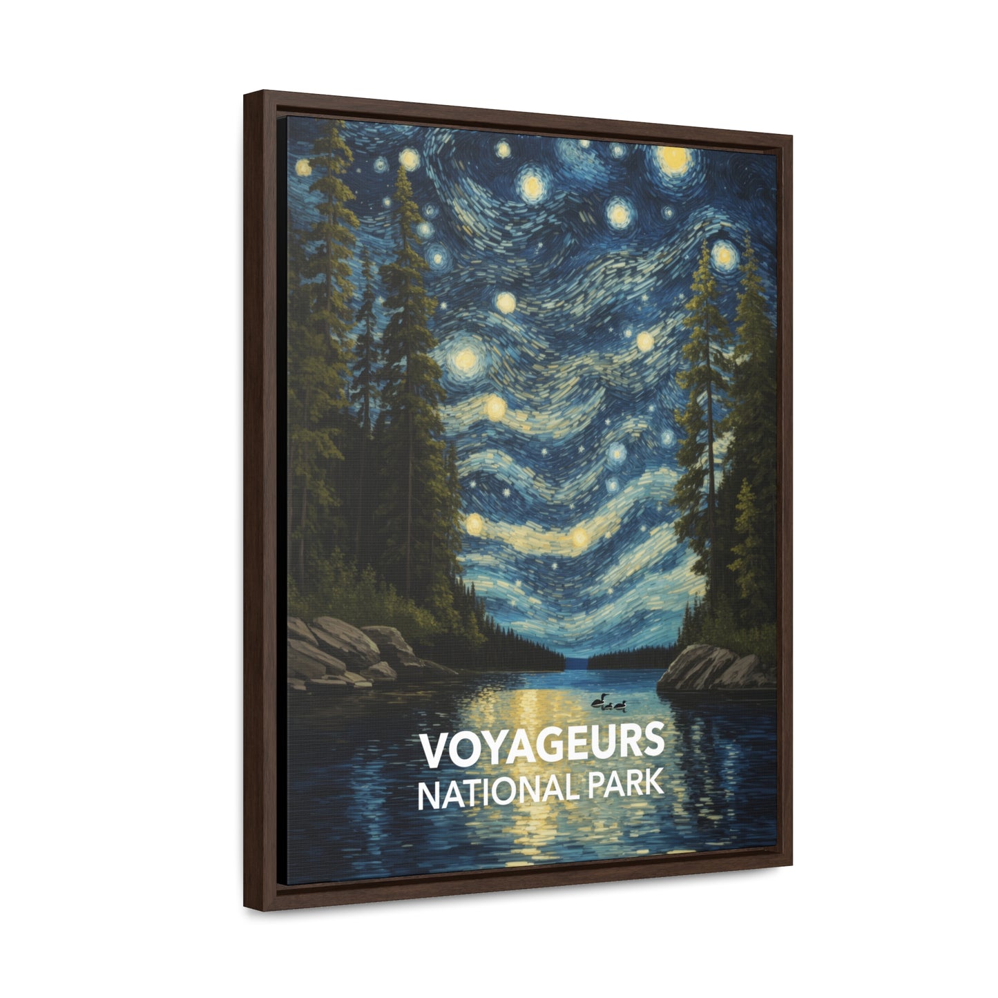 Voyageurs National Park Framed Canvas - The Starry Night