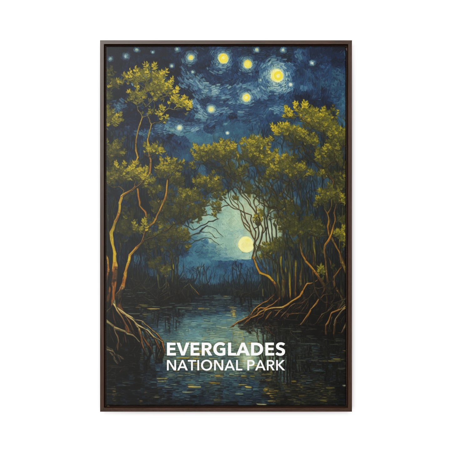 Everglades National Park Framed Canvas - The Starry Night