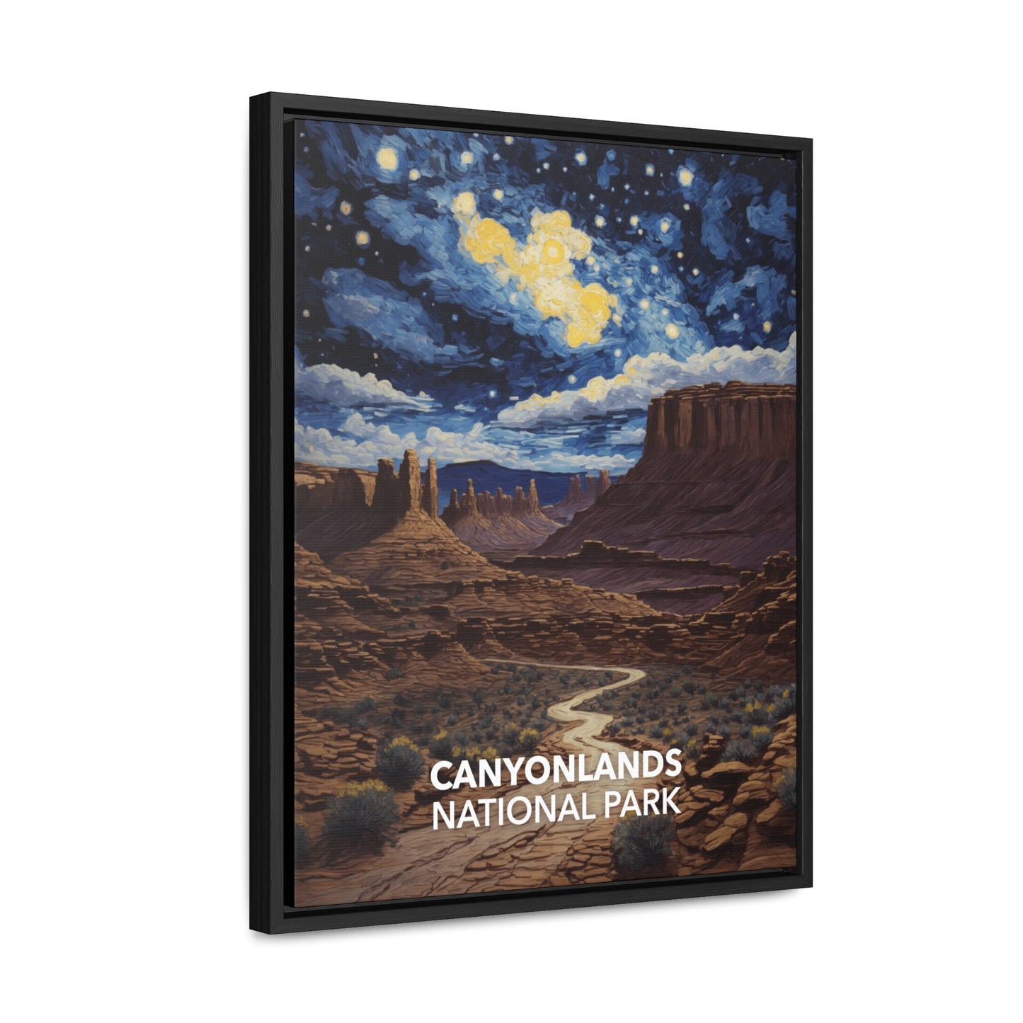 Canyonlands National Park Framed Canvas - The Starry Night