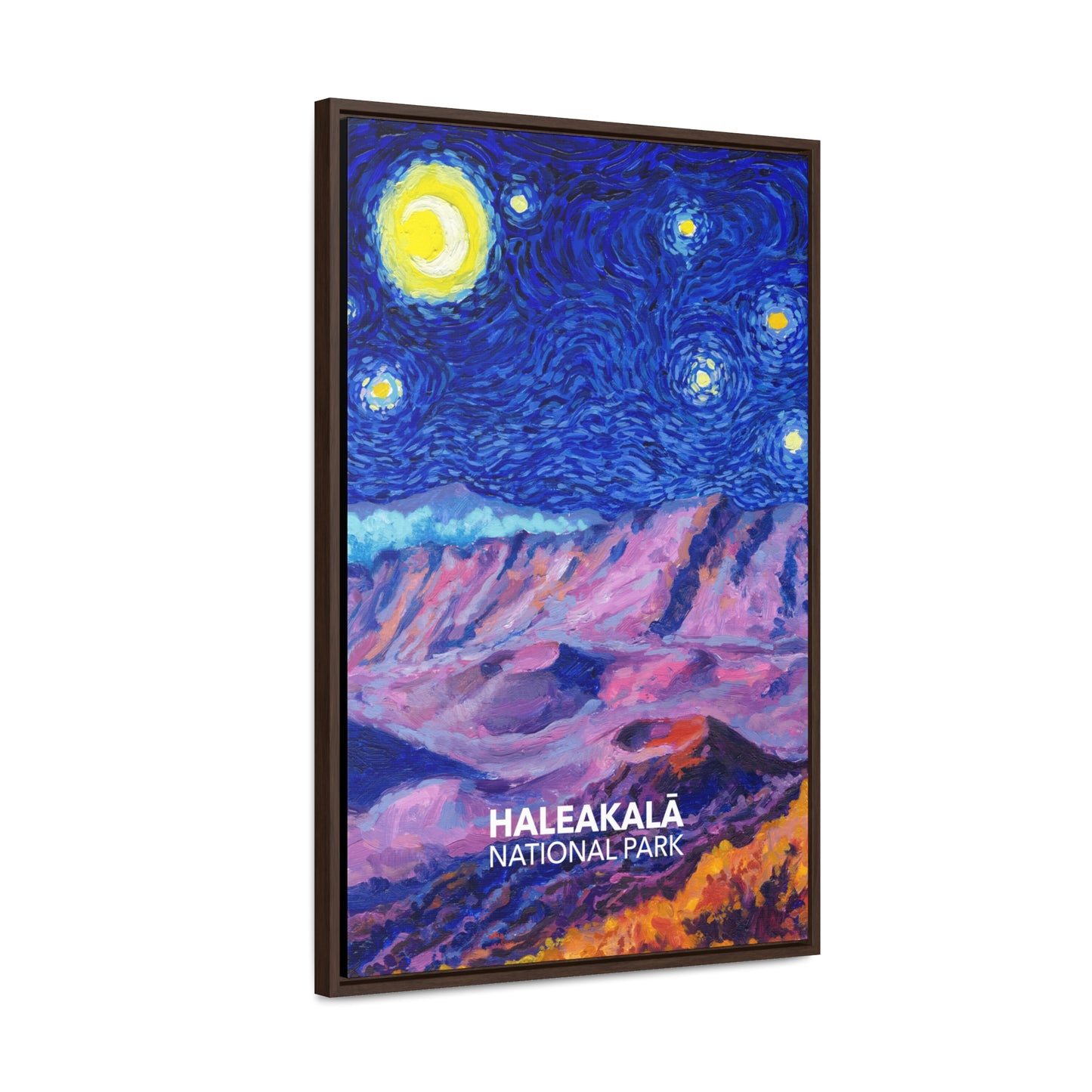 Haleakala National Park Framed Canvas - The Starry Night