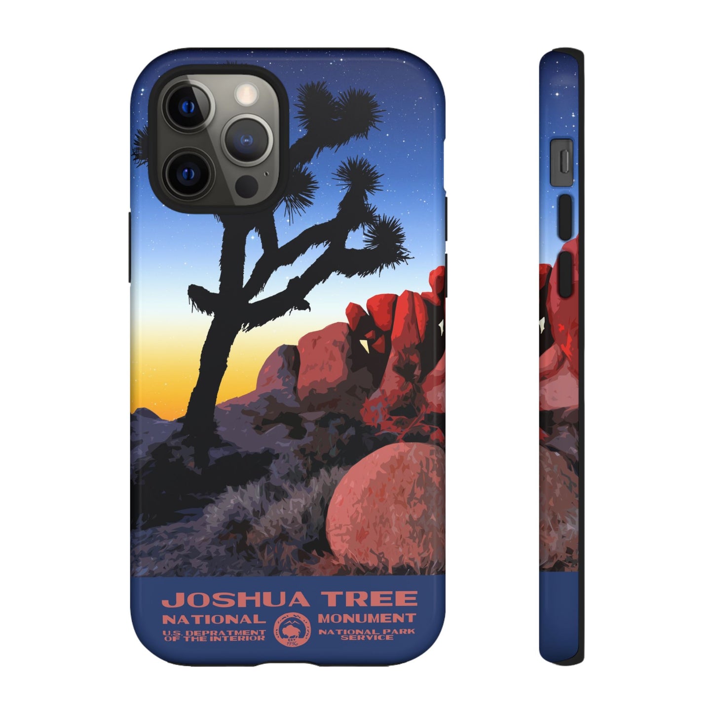 Joshua Tree National Park iPhone Case - Night