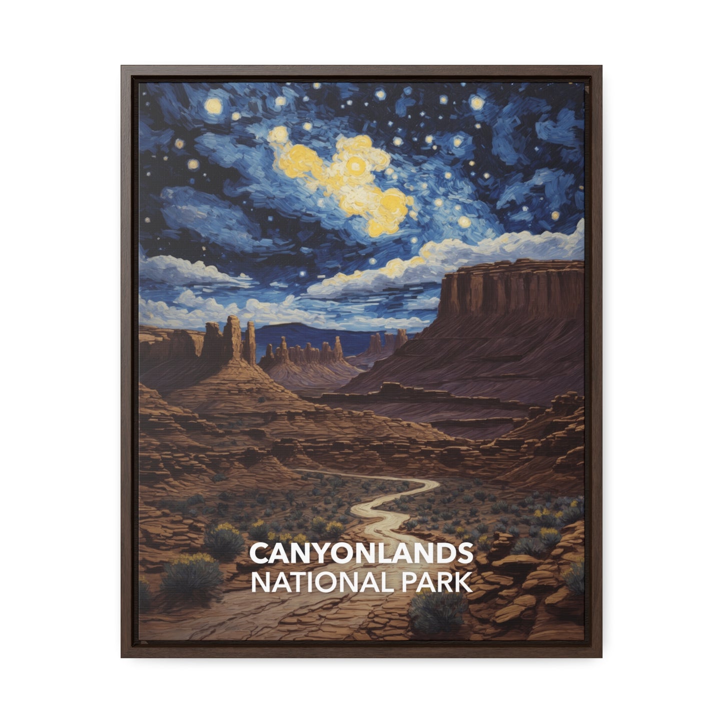 Canyonlands National Park Framed Canvas - The Starry Night
