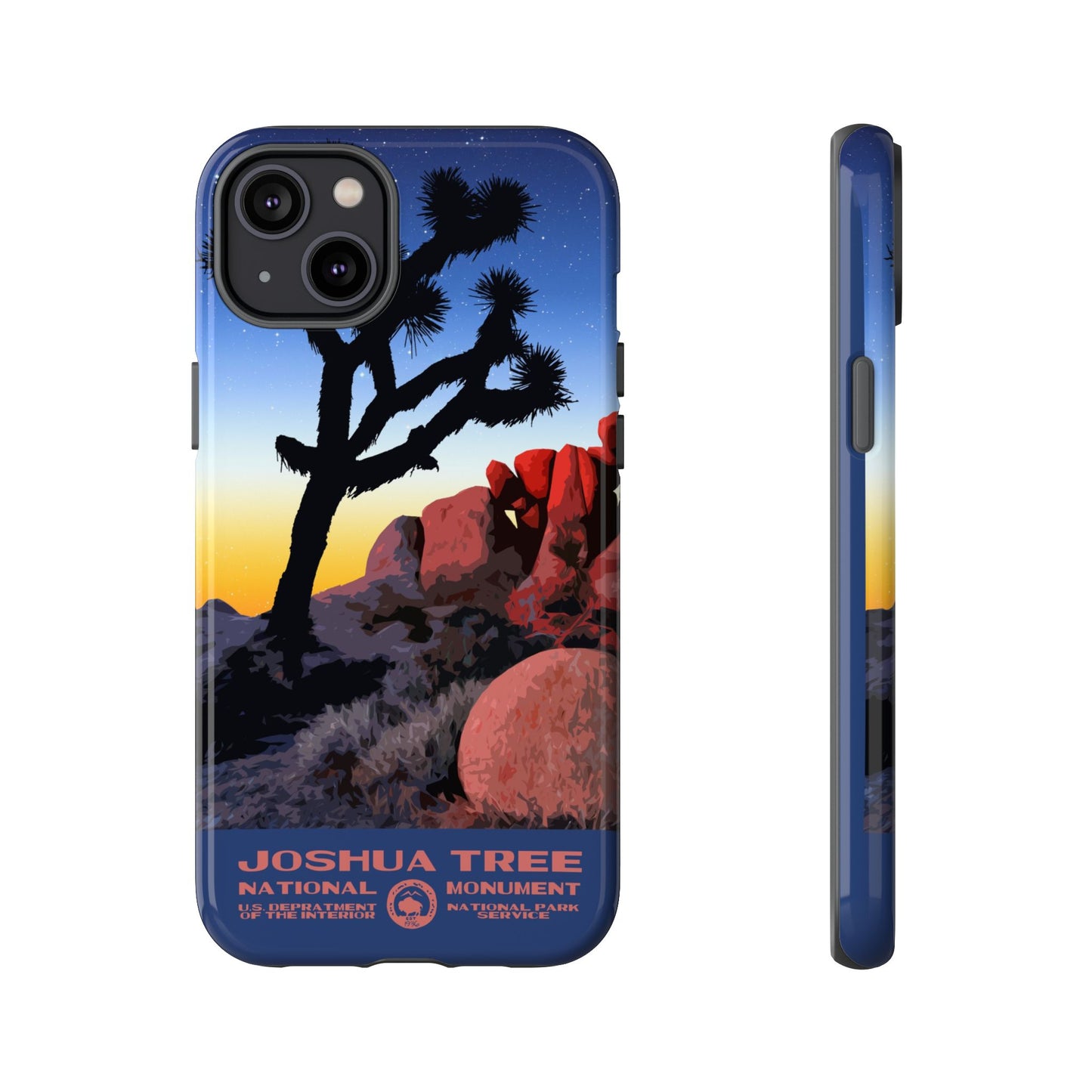 Joshua Tree National Park iPhone Case - Night