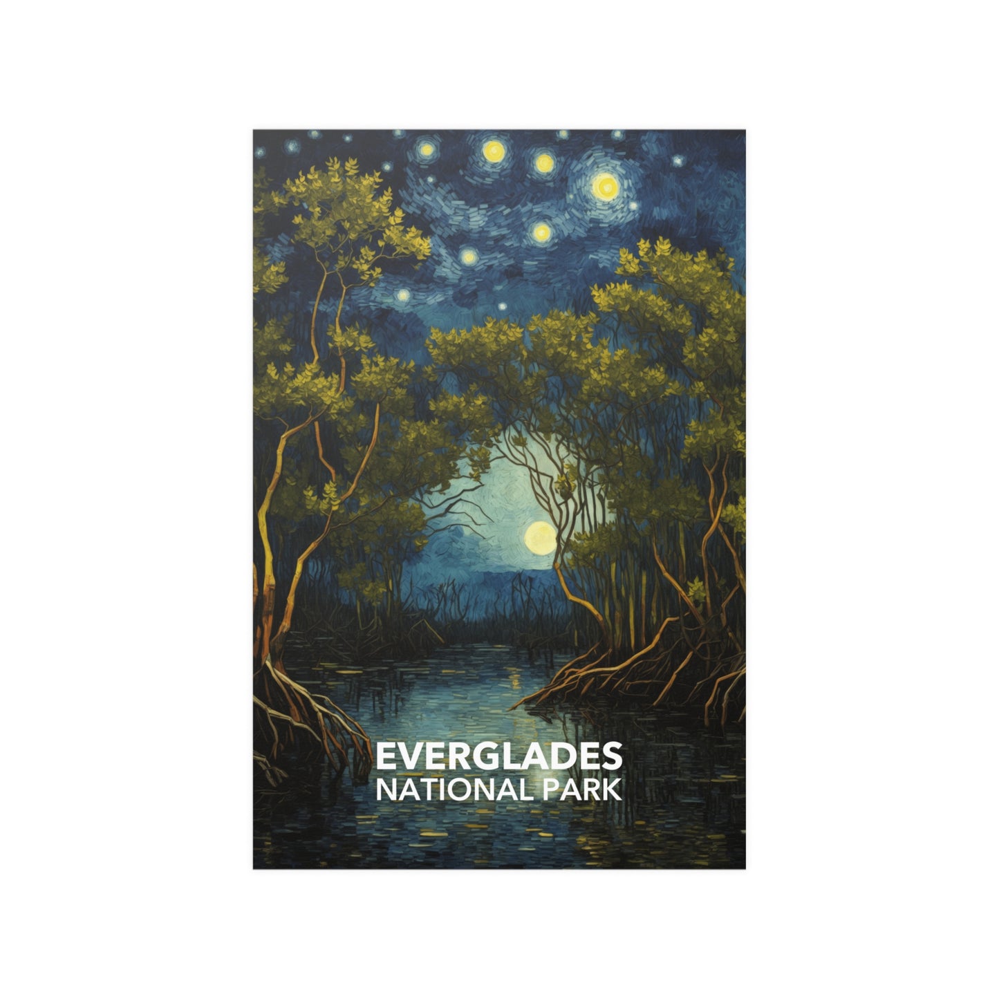 Everglades National Park Poster - Starry Night