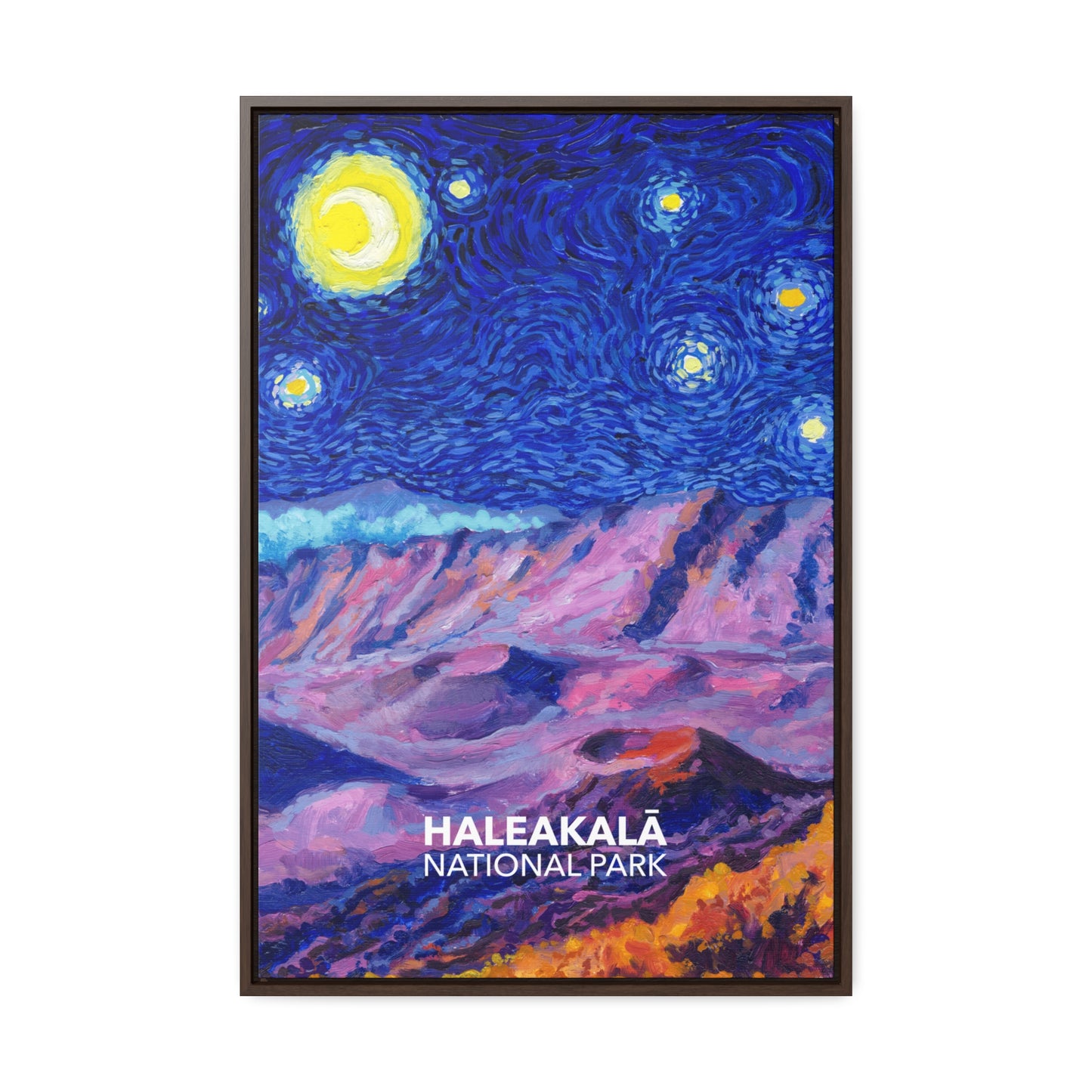 Haleakala National Park Framed Canvas - The Starry Night