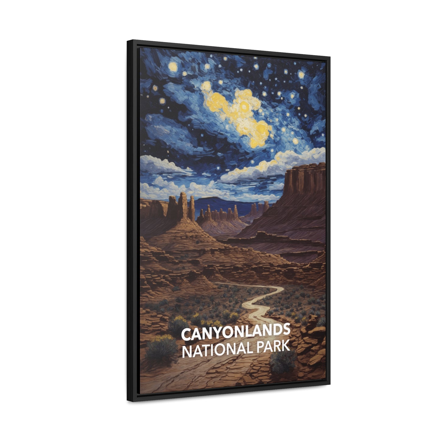 Canyonlands National Park Framed Canvas - The Starry Night