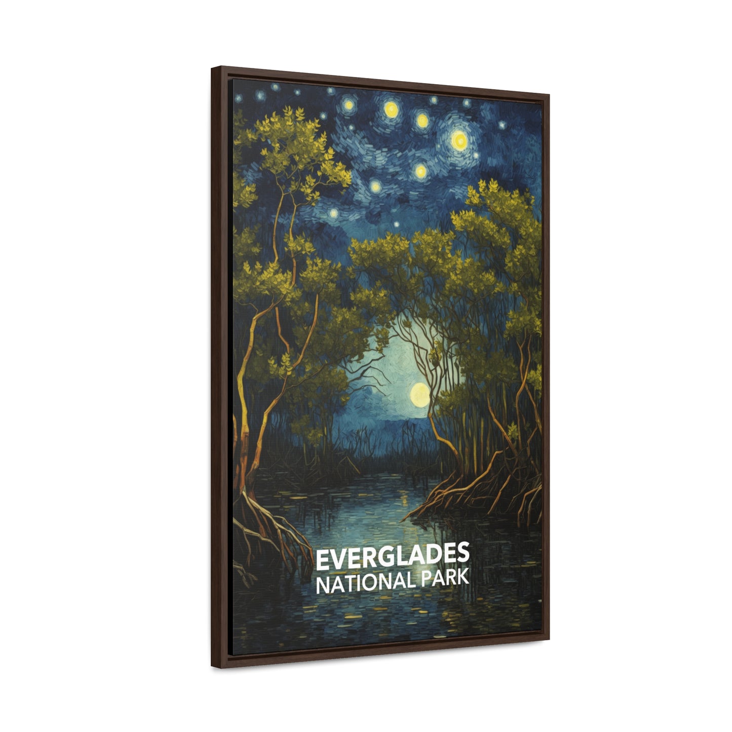 Everglades National Park Framed Canvas - The Starry Night