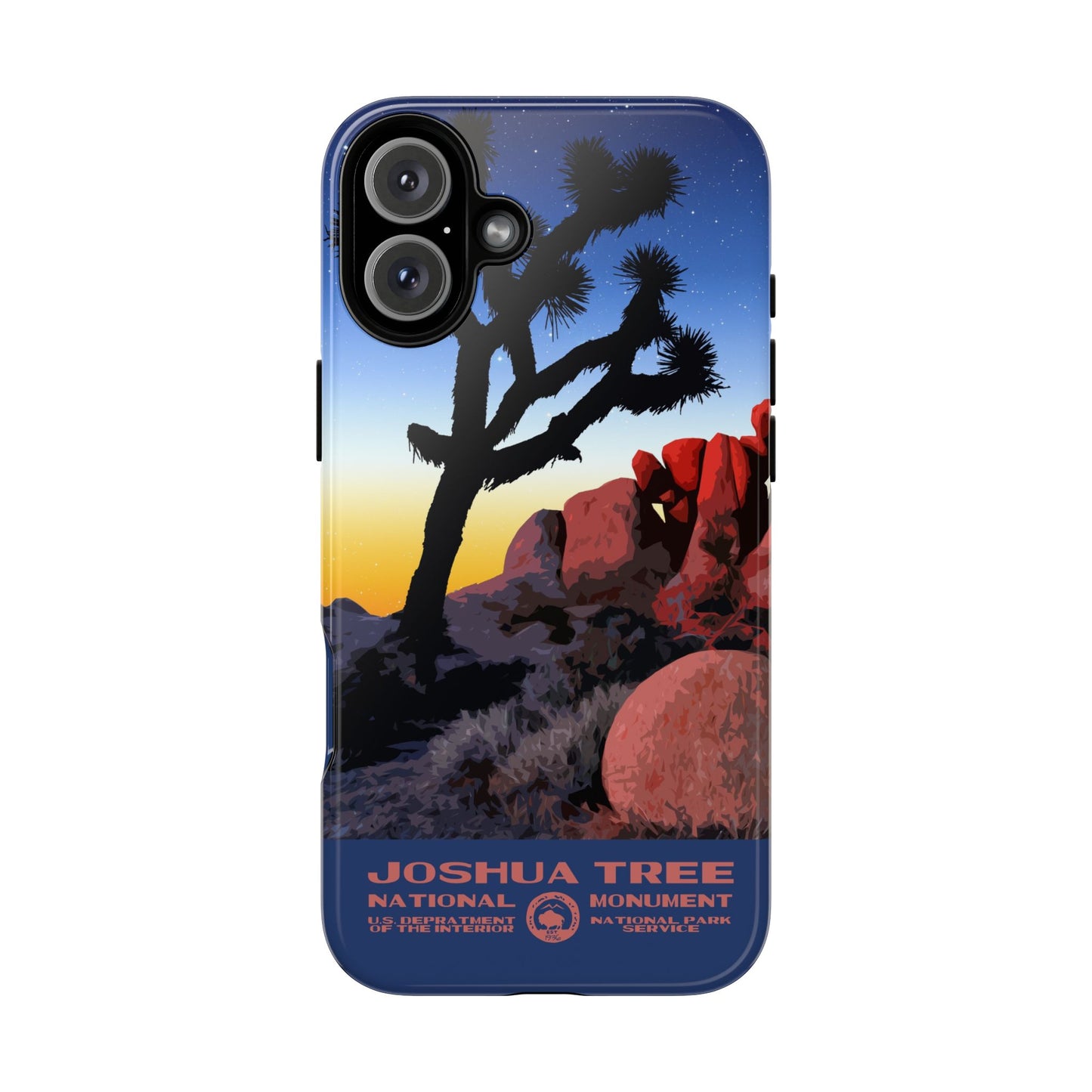 Joshua Tree National Park iPhone Case - Night