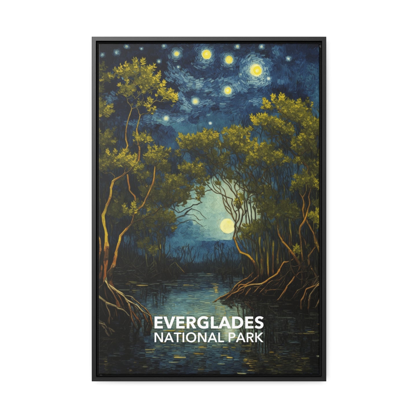 Everglades National Park Framed Canvas - The Starry Night