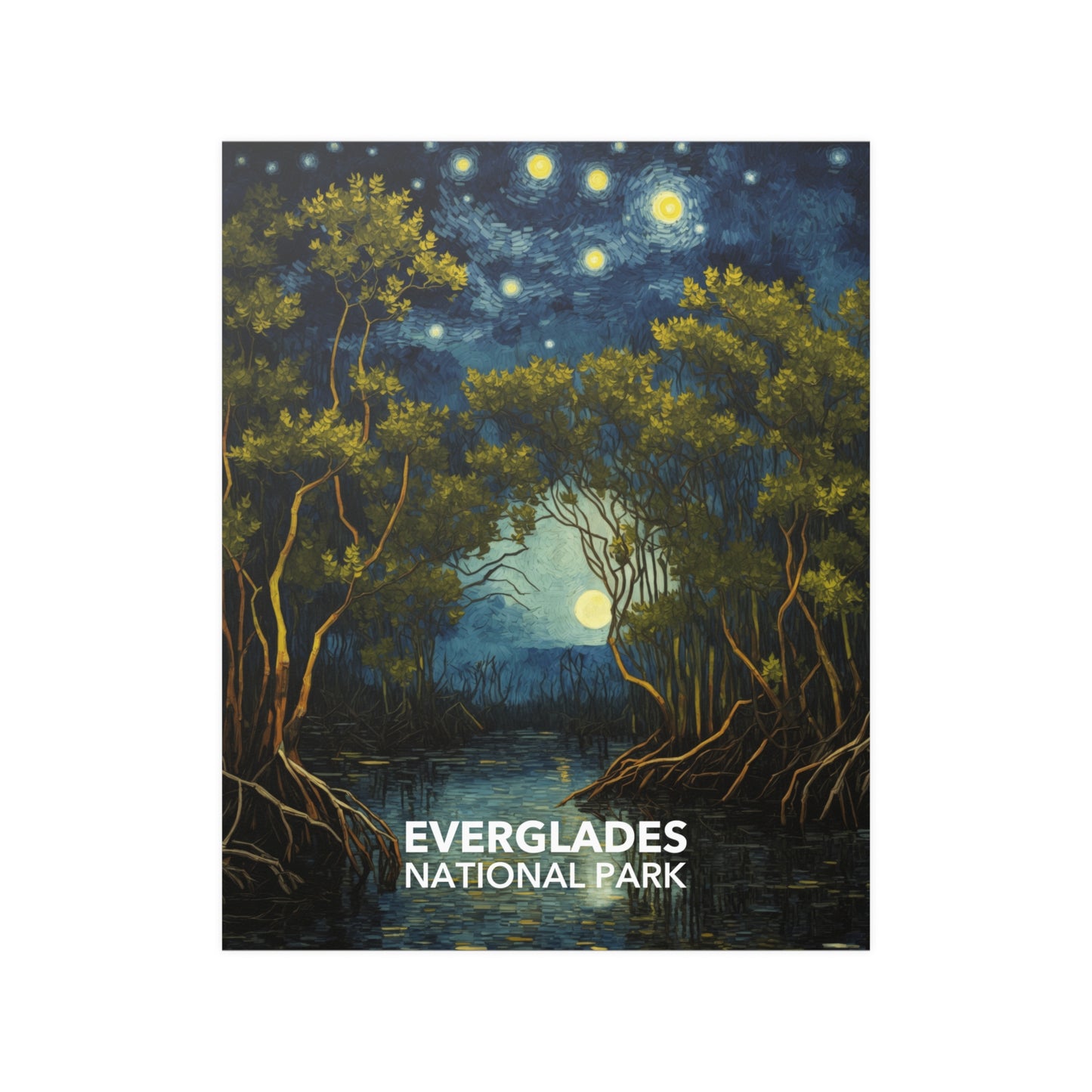 Everglades National Park Poster - Starry Night