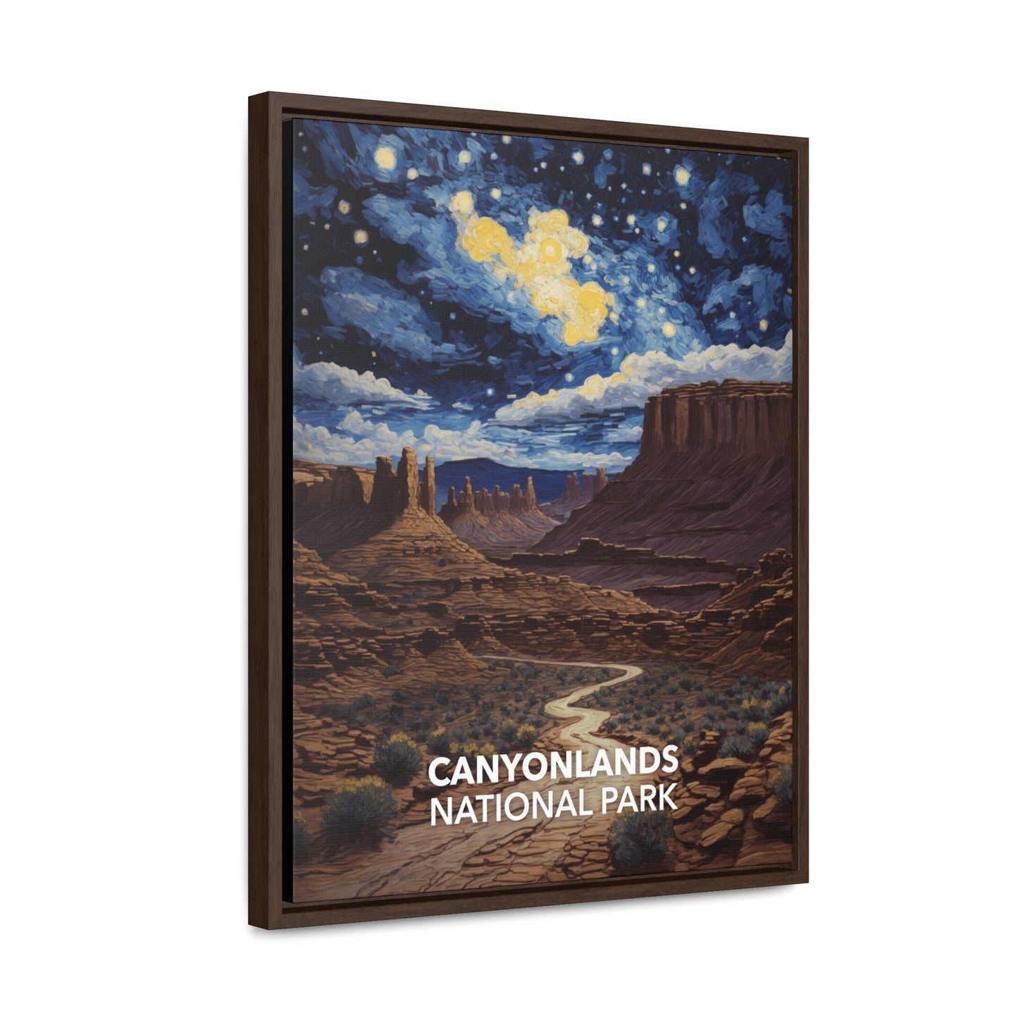 Canyonlands National Park Framed Canvas - The Starry Night