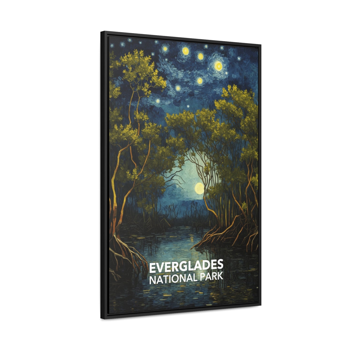 Everglades National Park Framed Canvas - The Starry Night