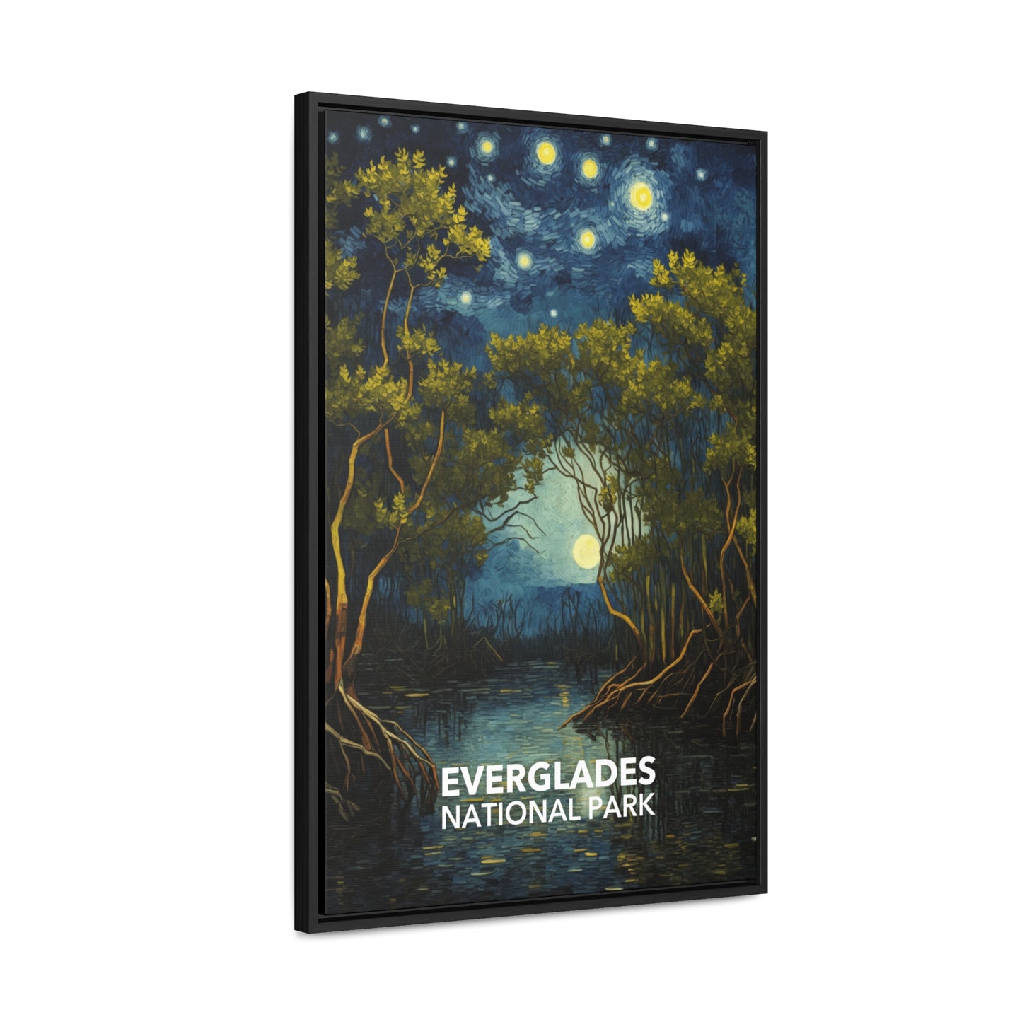 Everglades National Park Framed Canvas - The Starry Night