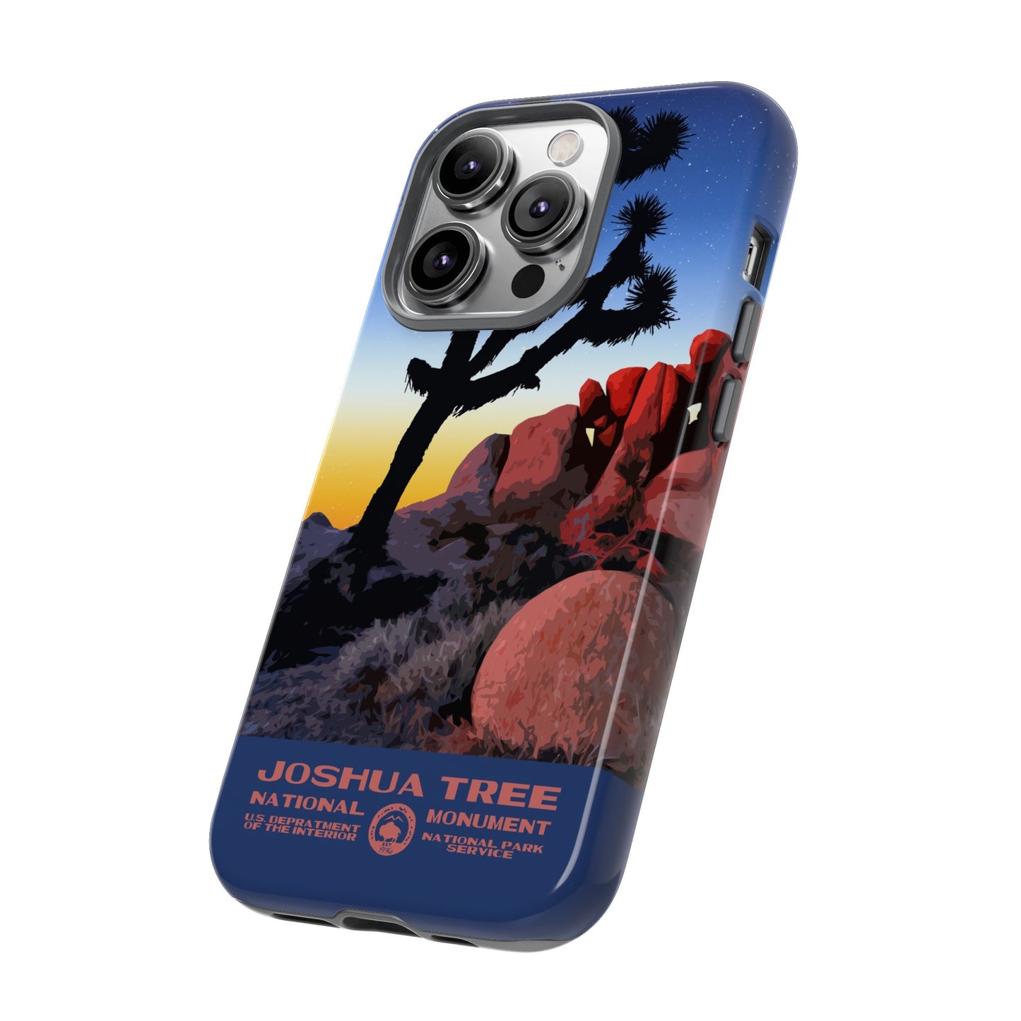 Joshua Tree National Park iPhone Case - Night