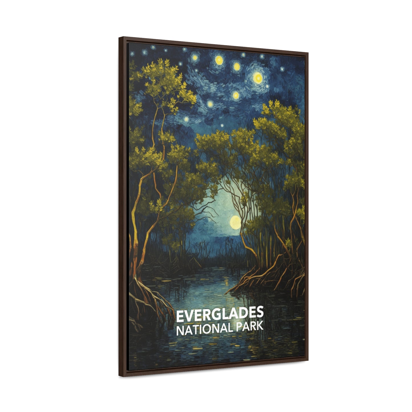 Everglades National Park Framed Canvas - The Starry Night