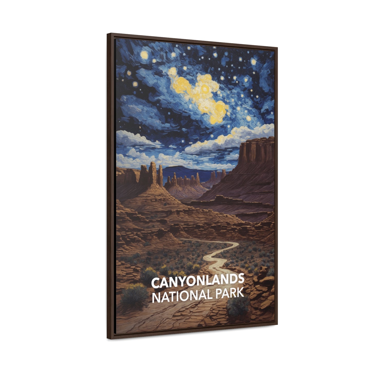 Canyonlands National Park Framed Canvas - The Starry Night