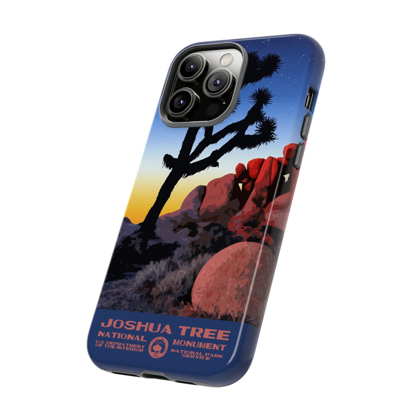Joshua Tree National Park iPhone Case - Night