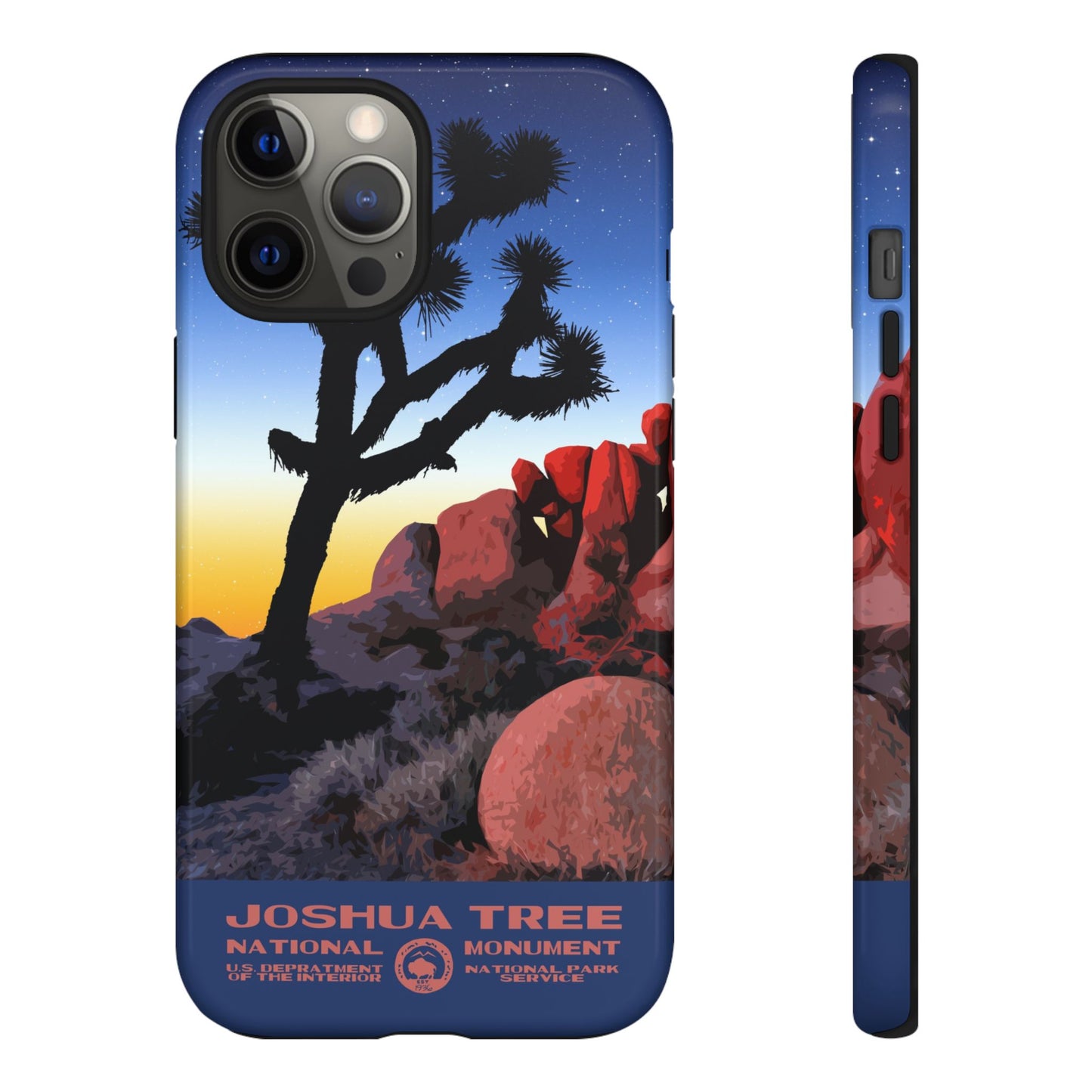 Joshua Tree National Park iPhone Case - Night