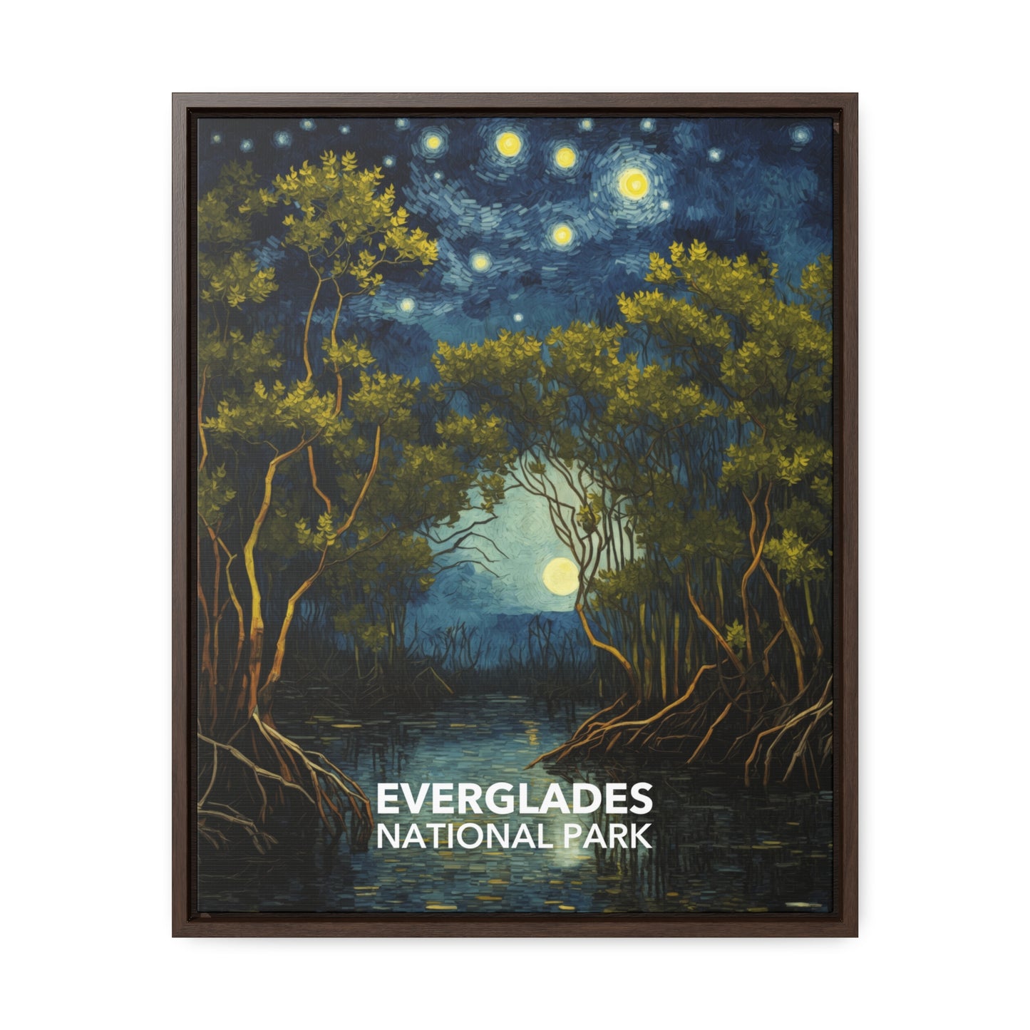 Everglades National Park Framed Canvas - The Starry Night