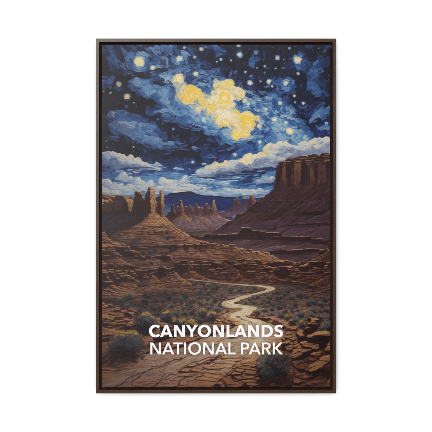 Canyonlands National Park Framed Canvas - The Starry Night