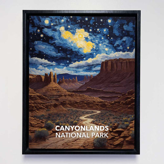 Canyonlands National Park Framed Canvas - The Starry Night