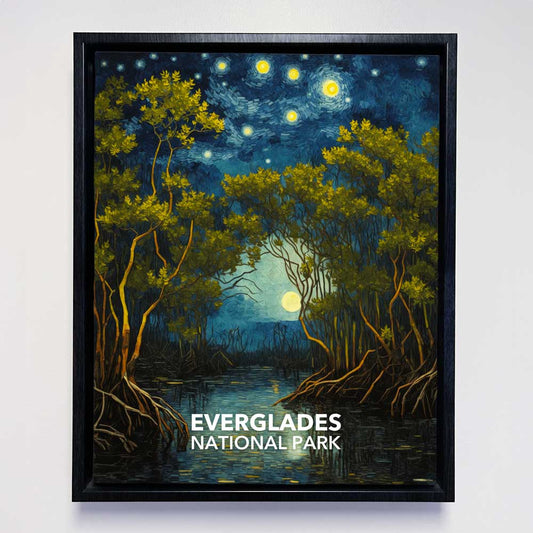 Everglades National Park Framed Canvas - The Starry Night