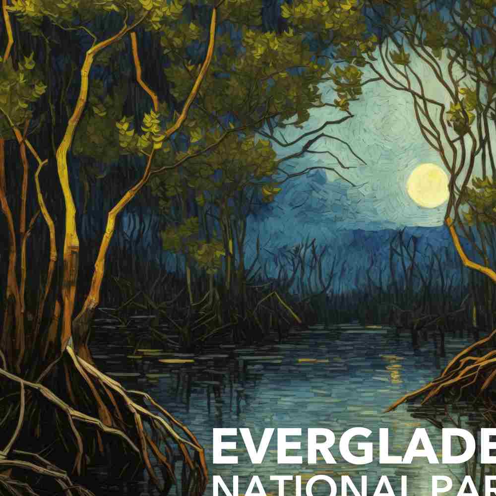 Everglades National Park Poster - Starry Night