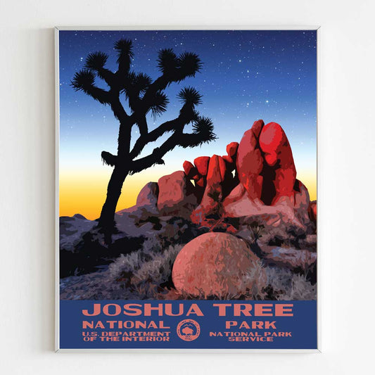 Joshua Tree National Park Poster - Night