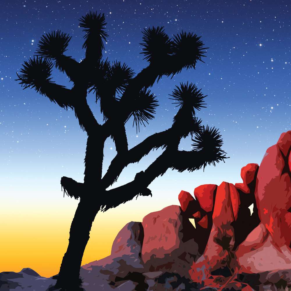 Joshua Tree National Park Poster - Night