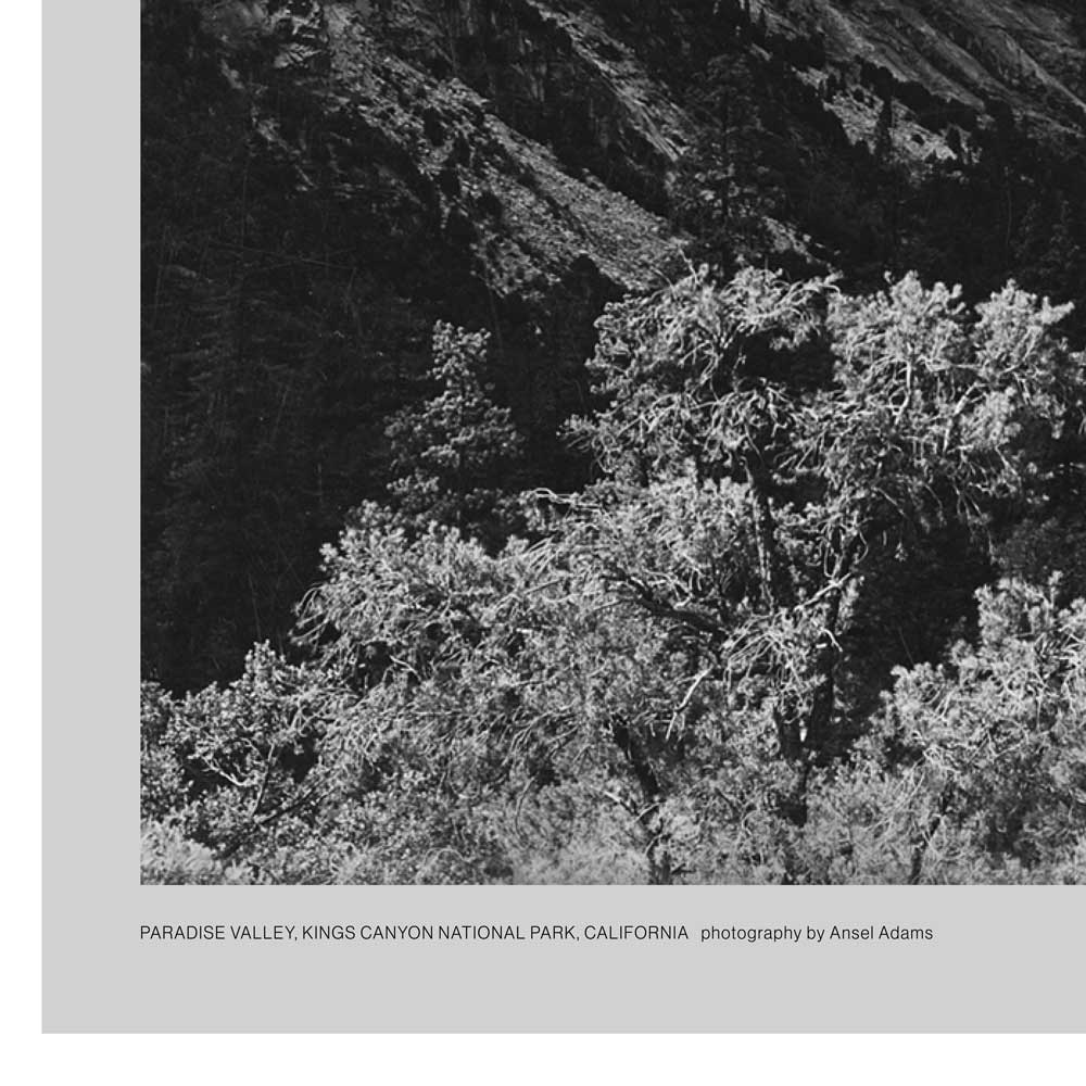 Kings Canyon National Park Poster - Ansel Adams