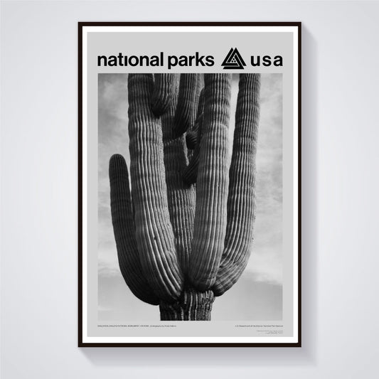 Saguaro National Park Poster - Ansel Adams