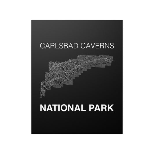 Carlsbad Caverns National Park Poster - Unknown Pleasures Lines National Parks Partnership