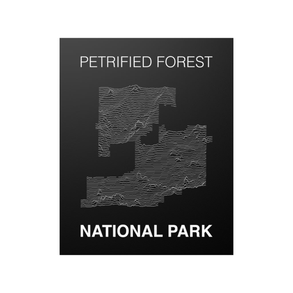 Petrified Forest National Park Poster - Unknown Pleasures Lines National Parks Partnership