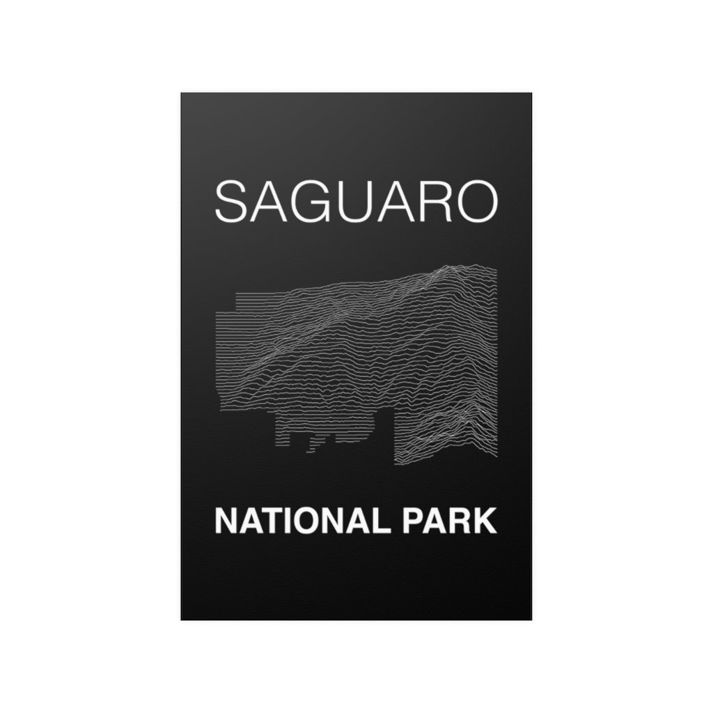 Saguaro National Park Poster - Unknown Pleasures Lines National Parks Partnership