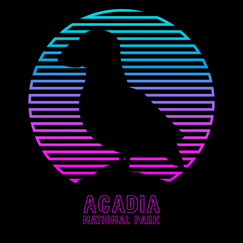 Acadia National Park T-Shirt - Neon Puffins