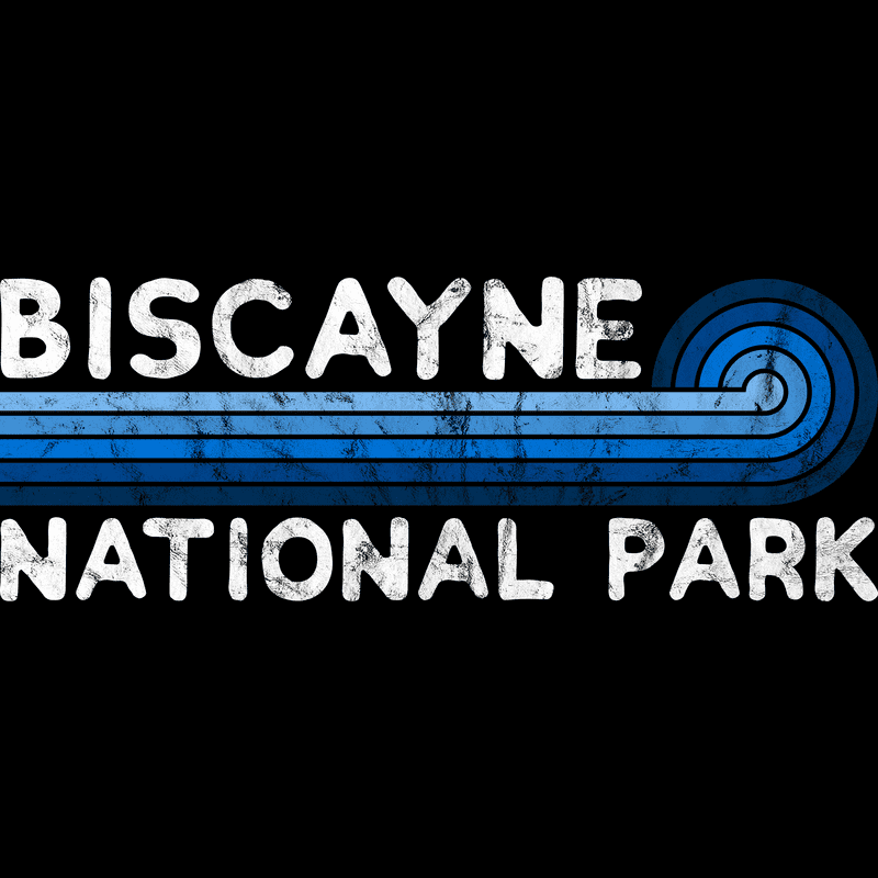 Biscayne National Park T-Shirt - Blue Vintage Stretched Sunrise