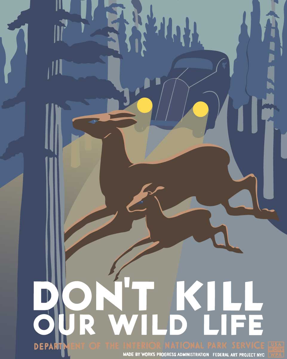 don't kill wildlife wpa poster. original 1930s design.