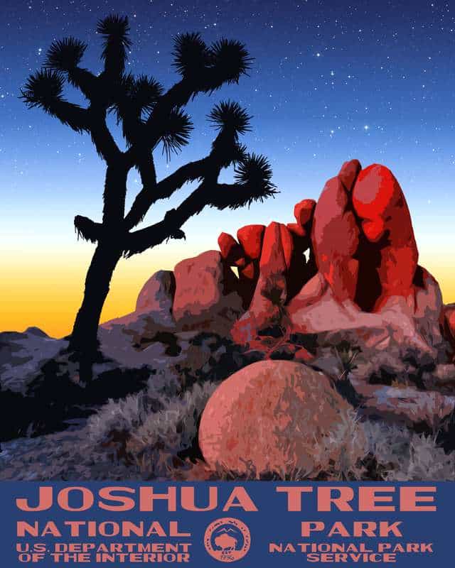 Joshua Tree National Park Poster - Night