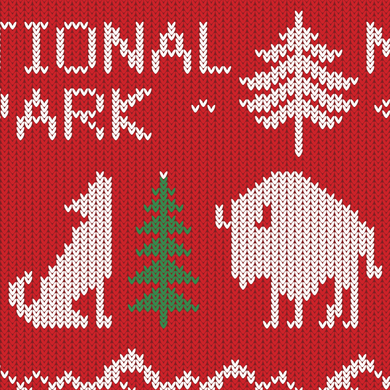 National Park Kitchen Towel - Printed Fair Isle Pattern